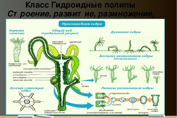 Кракен зайти зеркало