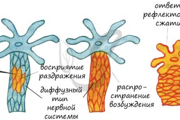 Гидра кракен