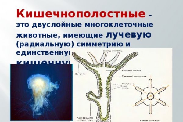 Какая ссылка у кракена